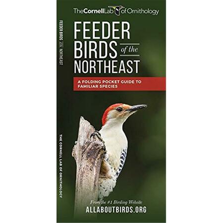 WATERFORD PRESS Feeder Birds of the Northeast US Guide WFP1620052228